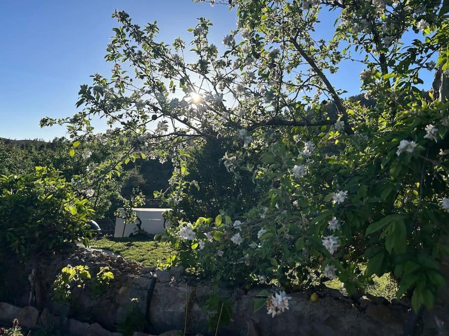 Lilly'S Finca - Romantischter Rueckzugsort - Pool Вилафлор Экстерьер фото