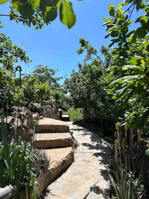 Lilly'S Finca - Romantischter Rueckzugsort - Pool Вилафлор Экстерьер фото