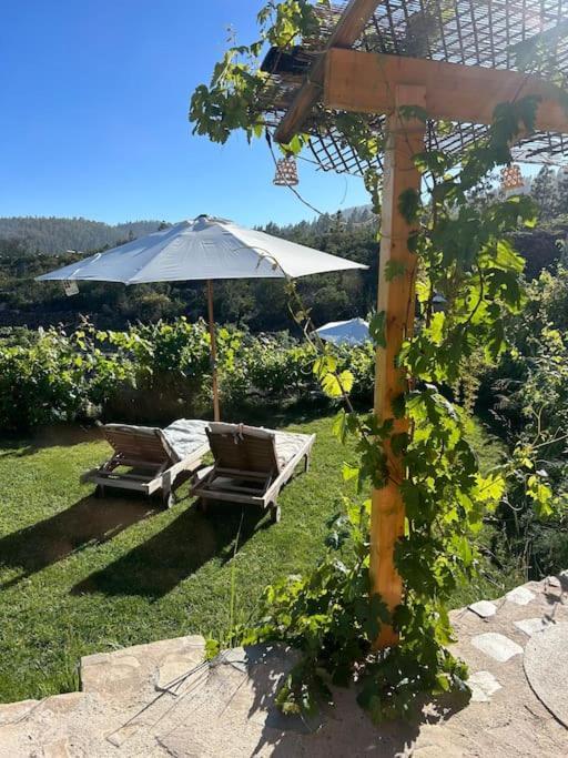 Lilly'S Finca - Romantischter Rueckzugsort - Pool Вилафлор Экстерьер фото