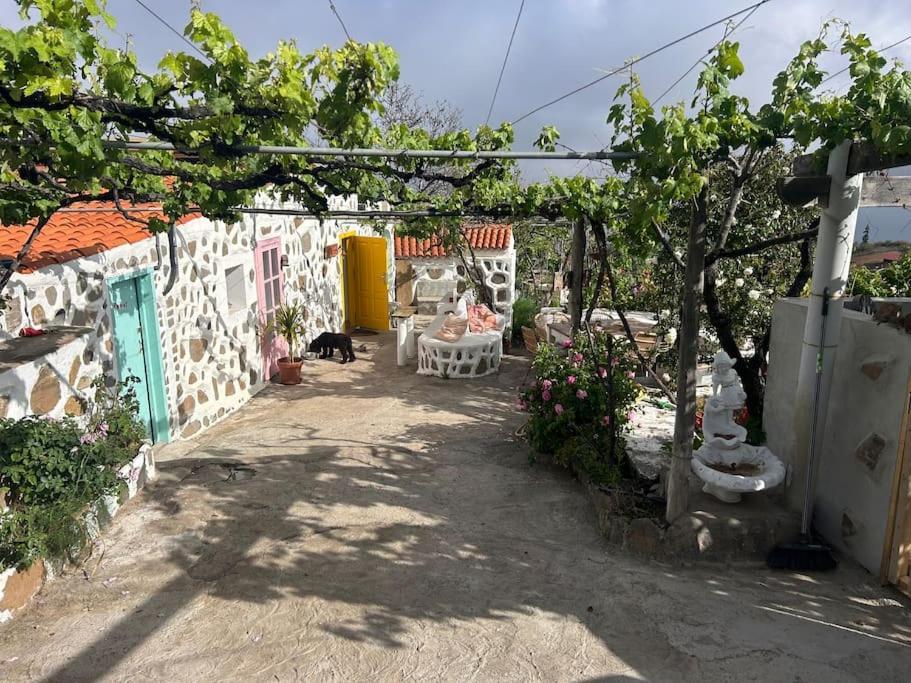 Lilly'S Finca - Romantischter Rueckzugsort - Pool Вилафлор Экстерьер фото